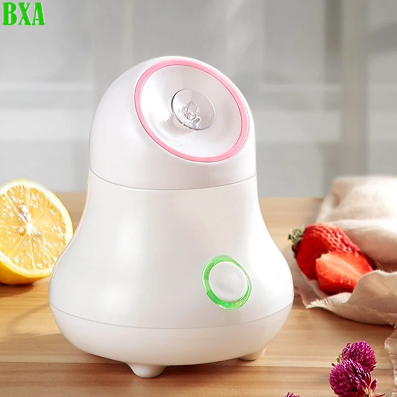 Facial Steamer Nano - Vaporizador Facial de frutas y verduras,